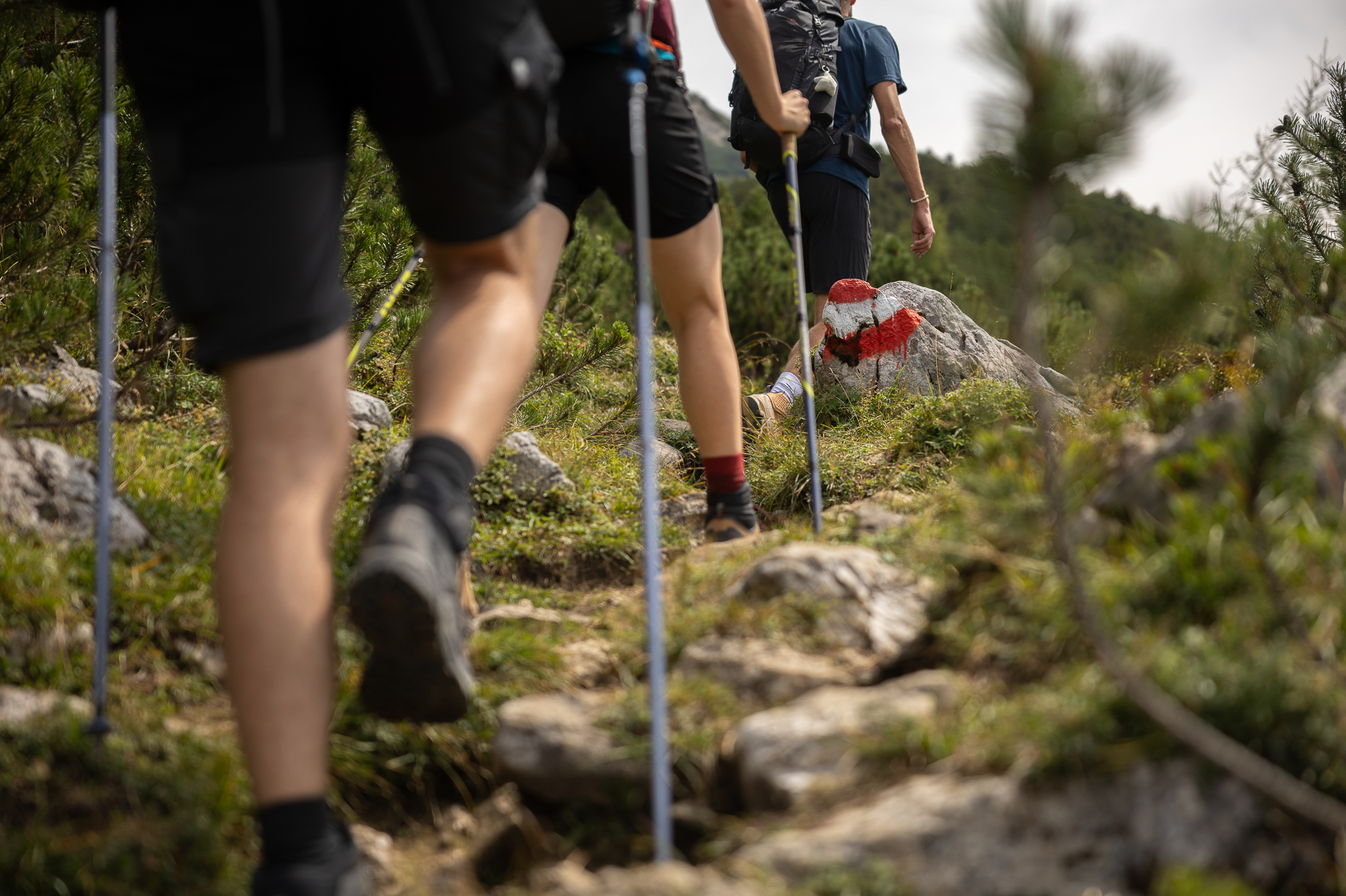 Sitemapcdatahttpsthereferenznetovertrail Vs Overtrail Plusnull